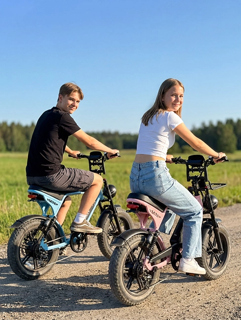 Modern mobility with electric bicycle